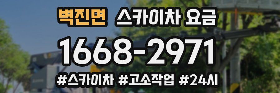 벽진면 스카이차 요금