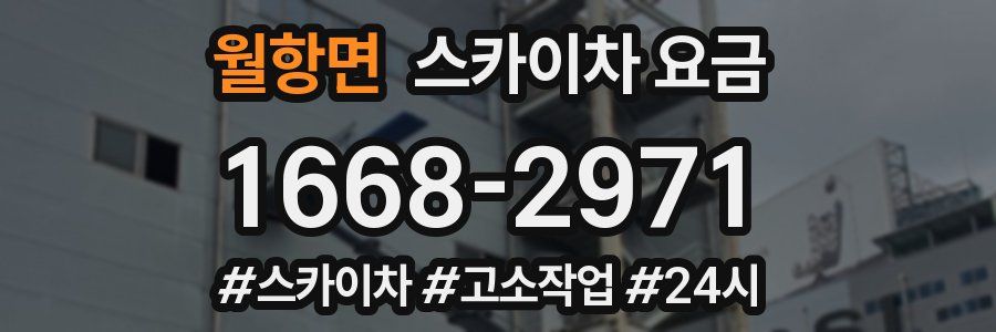 월항면 스카이차 요금