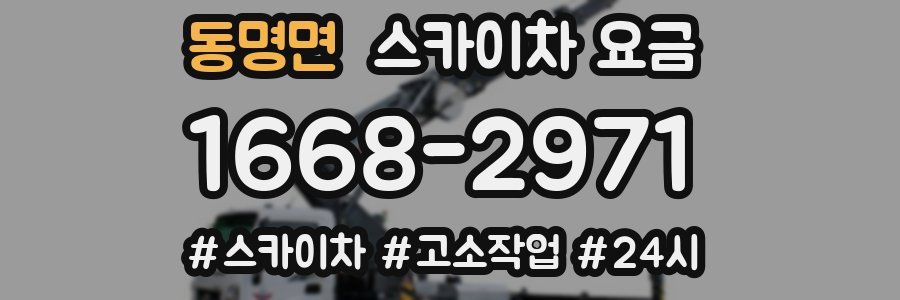 동명면 스카이차 요금
