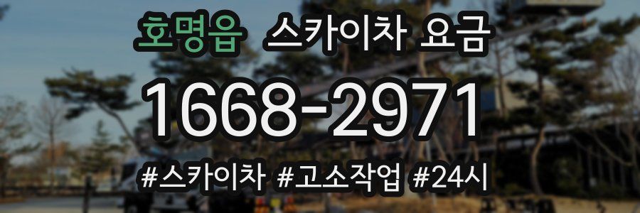 호명읍 스카이차 요금