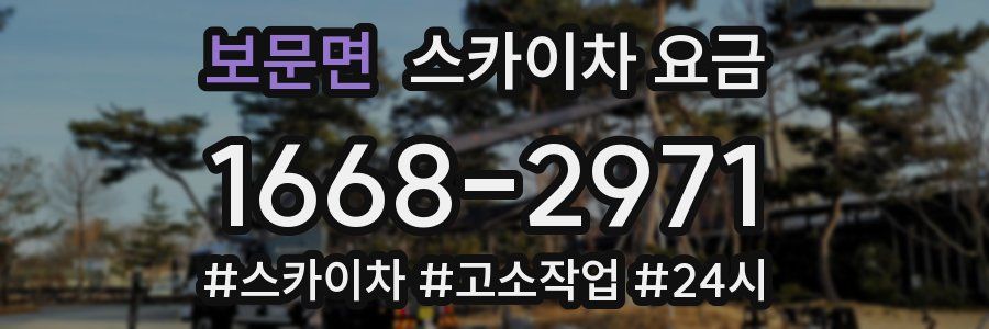 보문면 스카이차 요금