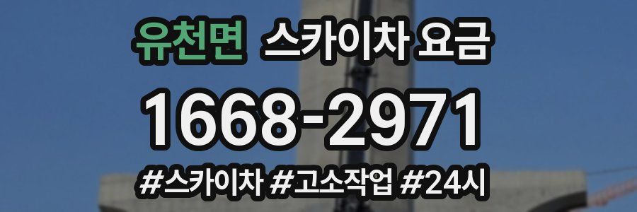 유천면 스카이차 요금