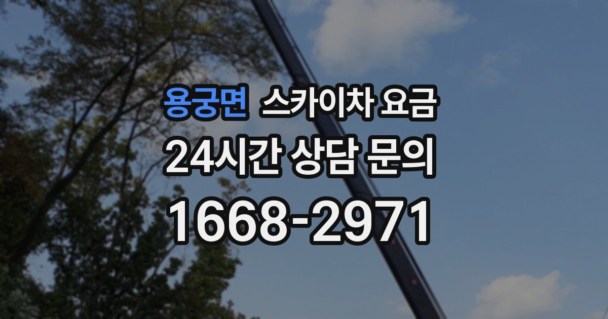 용궁면 스카이차 요금