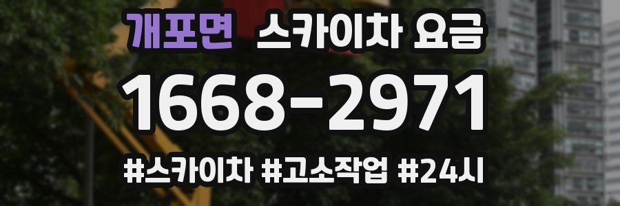 개포면 스카이차 요금