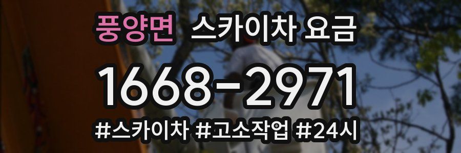 풍양면 스카이차 요금