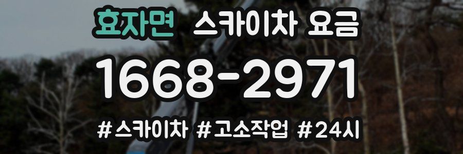 효자면 스카이차 요금