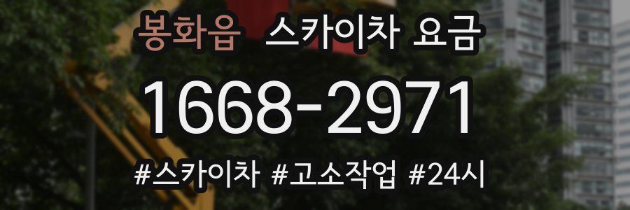 봉화읍 스카이차 요금