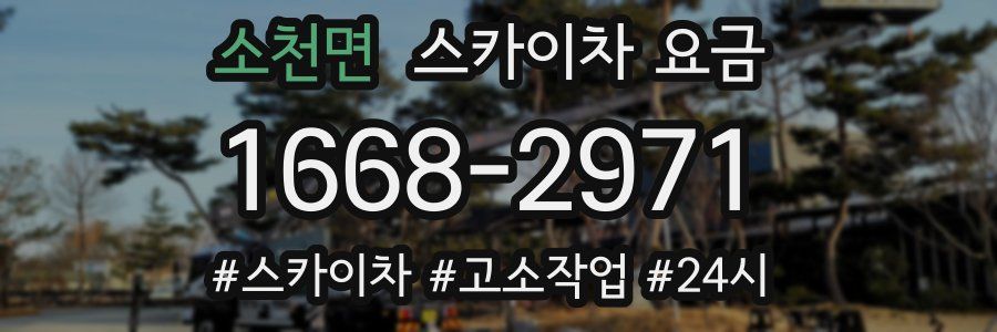소천면 스카이차 요금