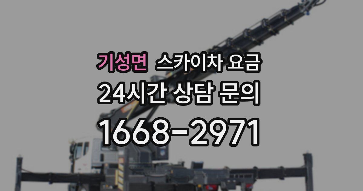 기성면 스카이차 요금