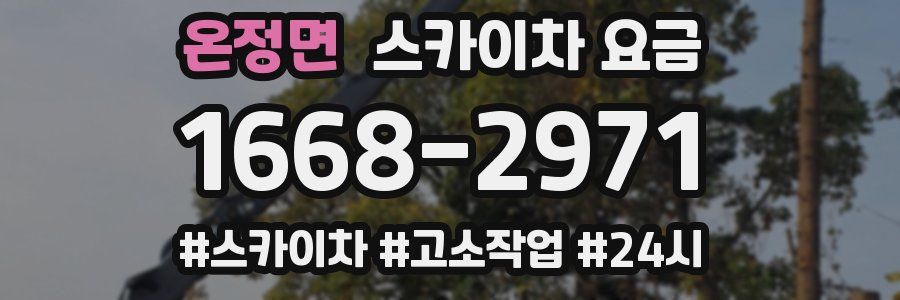 온정면 스카이차 요금