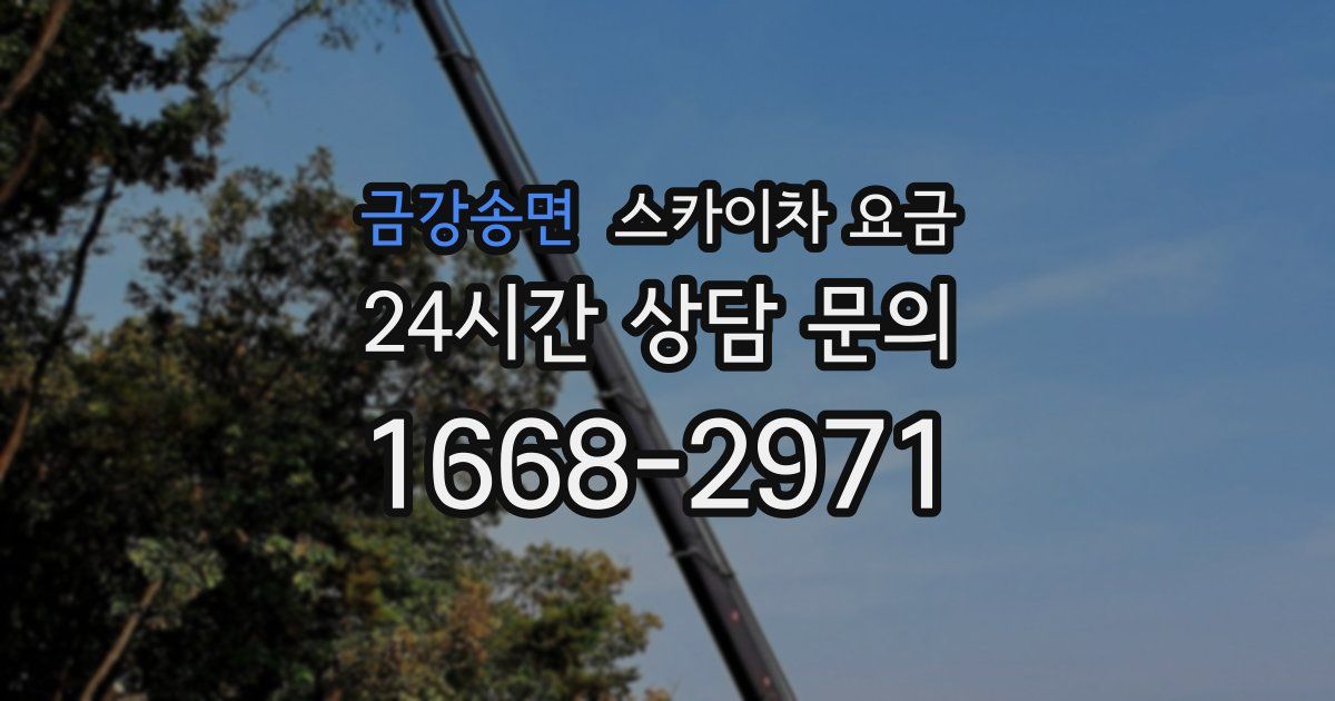 금강송면 스카이차 요금