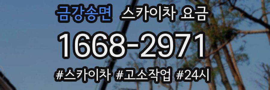 금강송면 스카이차 요금