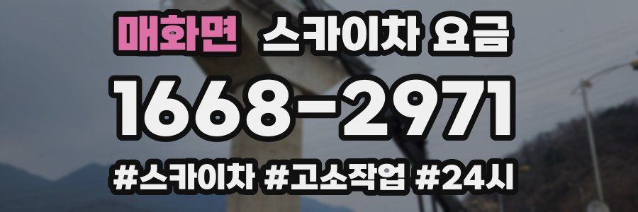 매화면 스카이차 요금