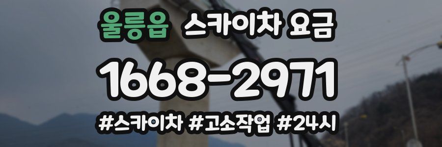 울릉읍 스카이차 요금