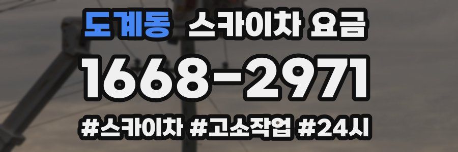 도계동 스카이차 요금