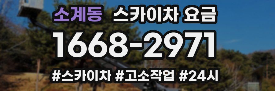 소계동 스카이차 요금