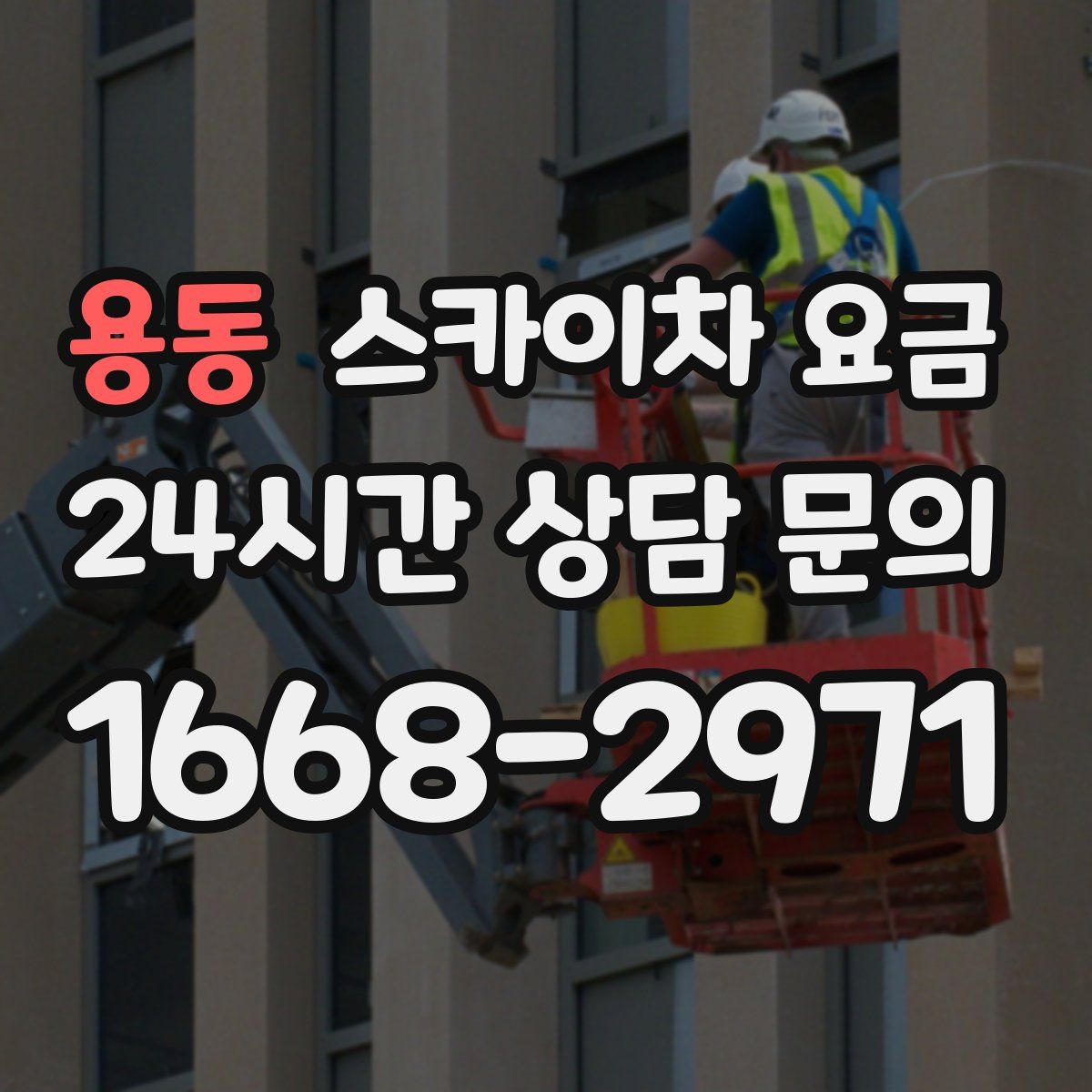용동 스카이차 요금