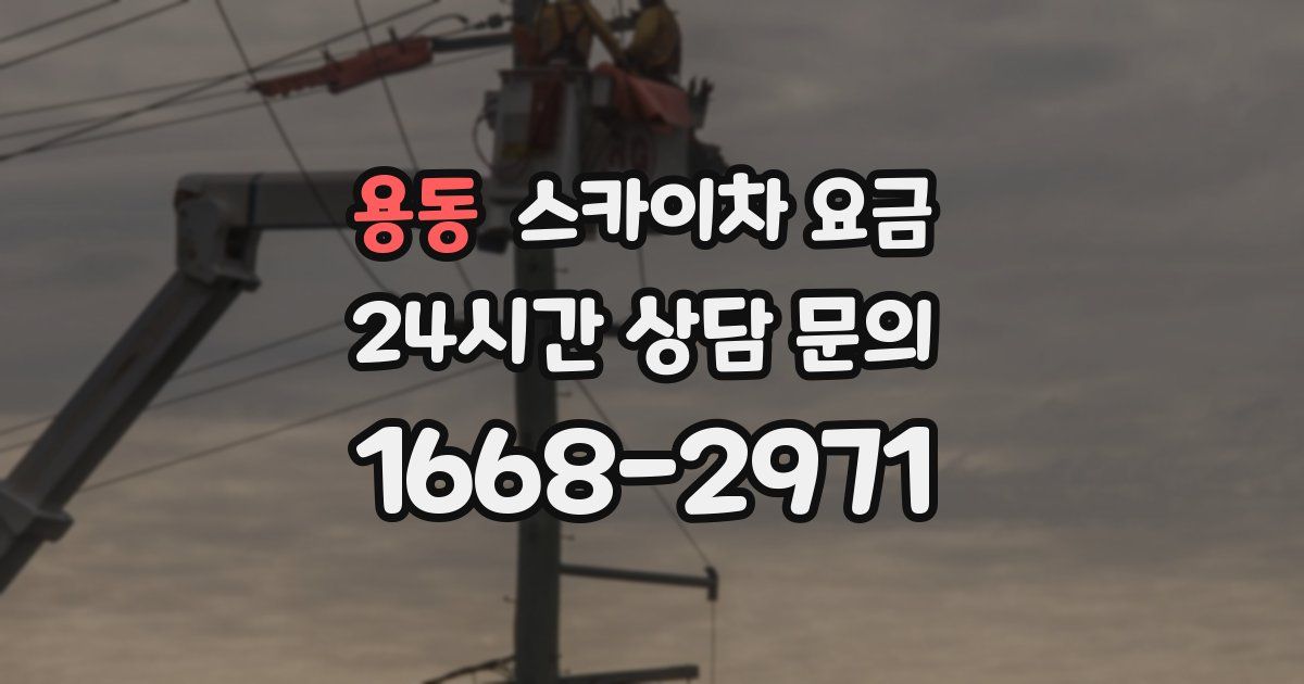 용동 스카이차 요금