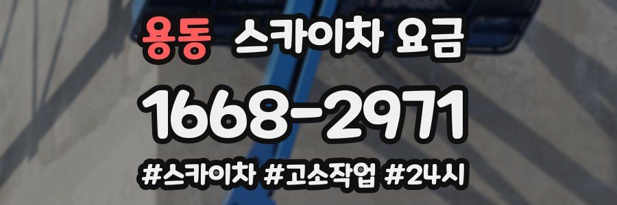 용동 스카이차 요금
