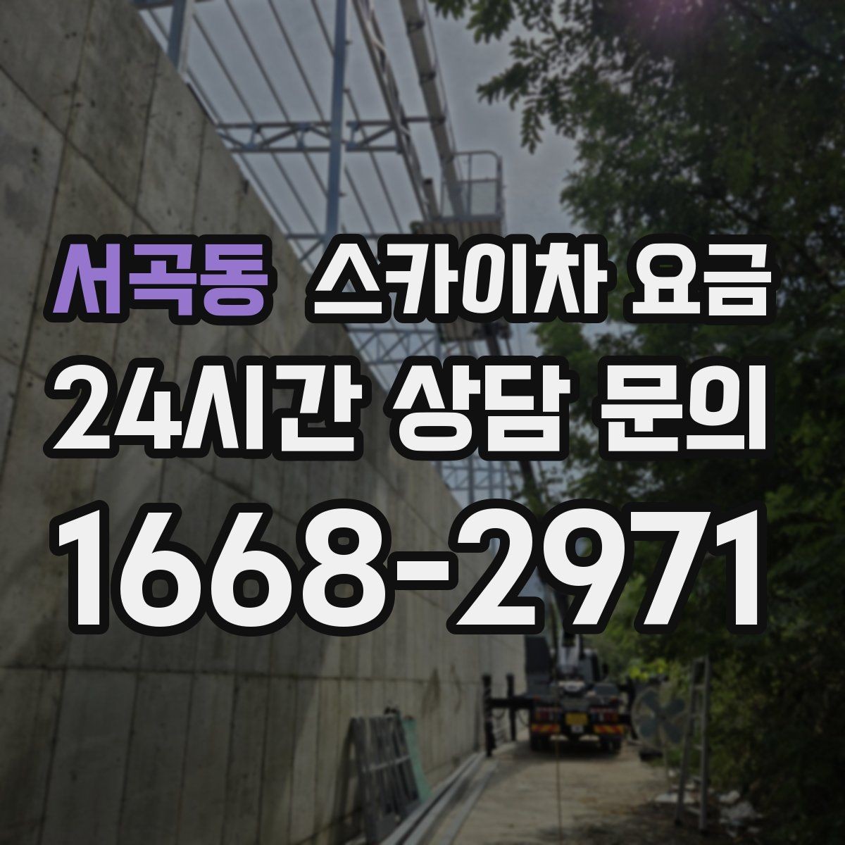 서곡동 스카이차 요금 나무 전지 작업은 가지 위치가 변수가 됩니다