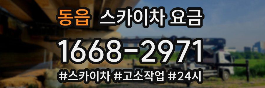 동읍 스카이차 요금