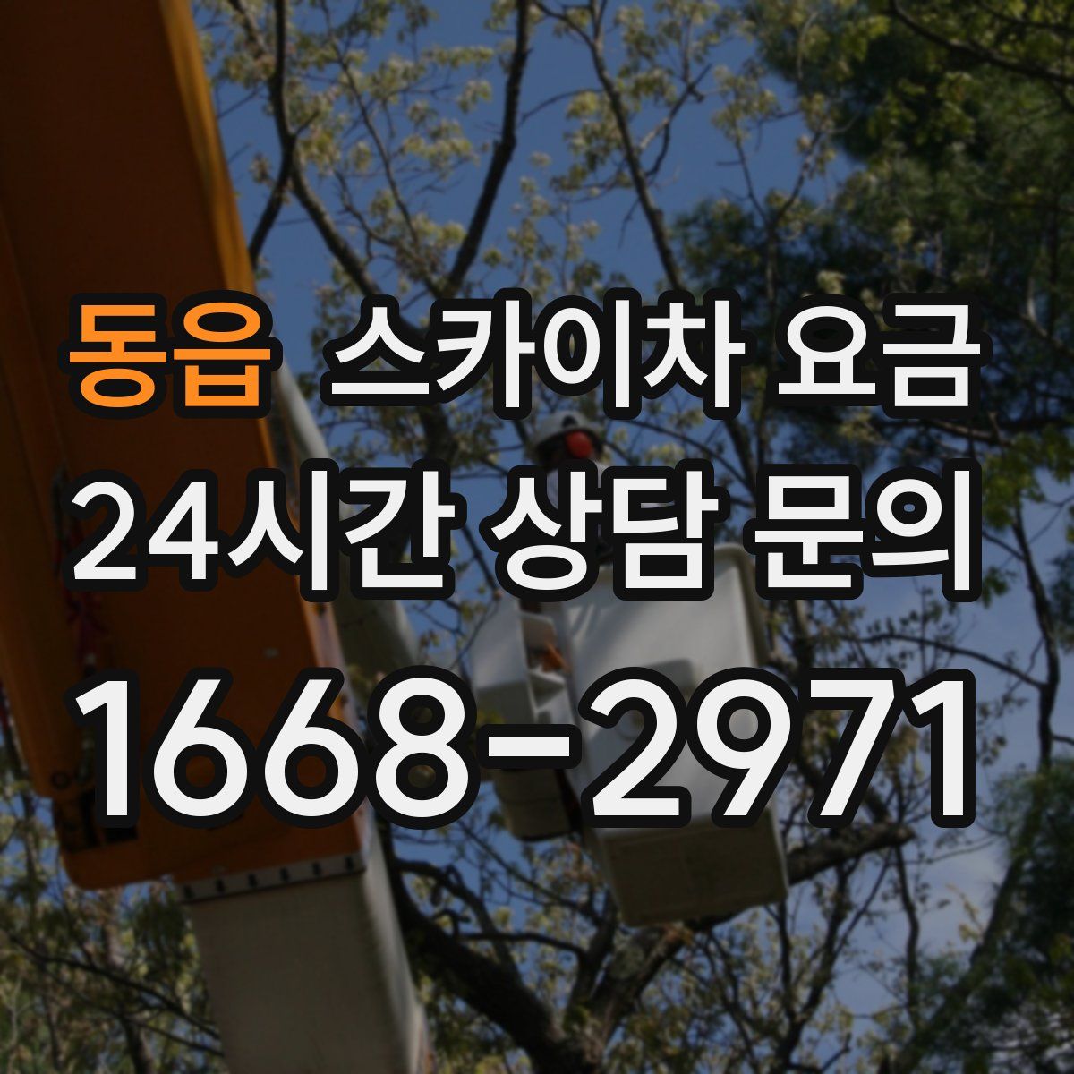 동읍 스카이차 요금