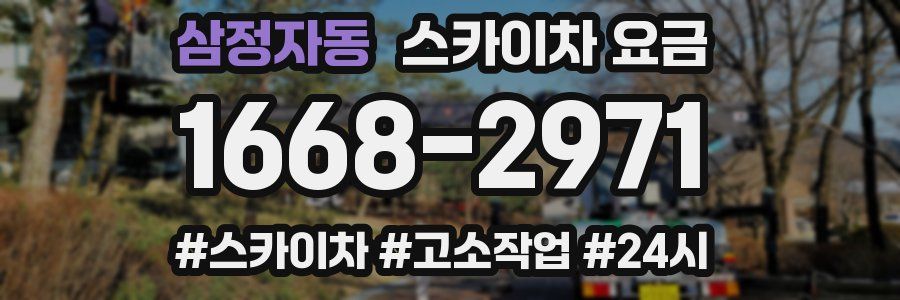 삼정자동 스카이차 요금