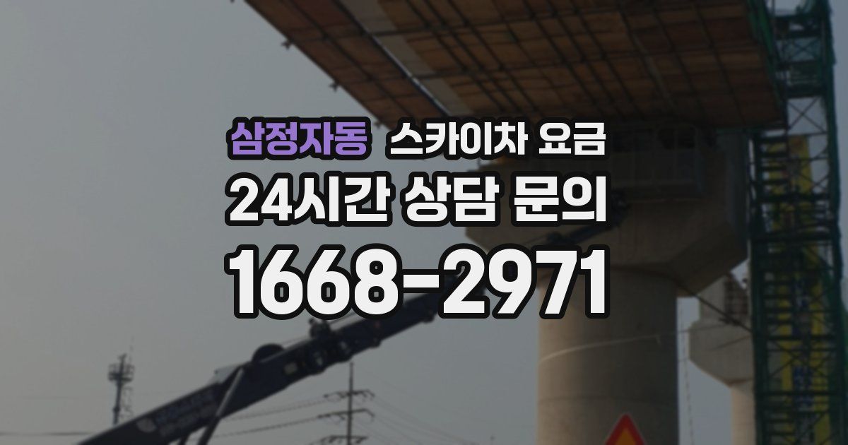 삼정자동 스카이차 요금