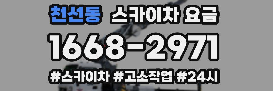 천선동 스카이차 요금