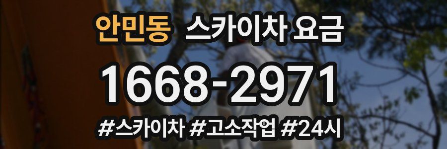안민동 스카이차 요금