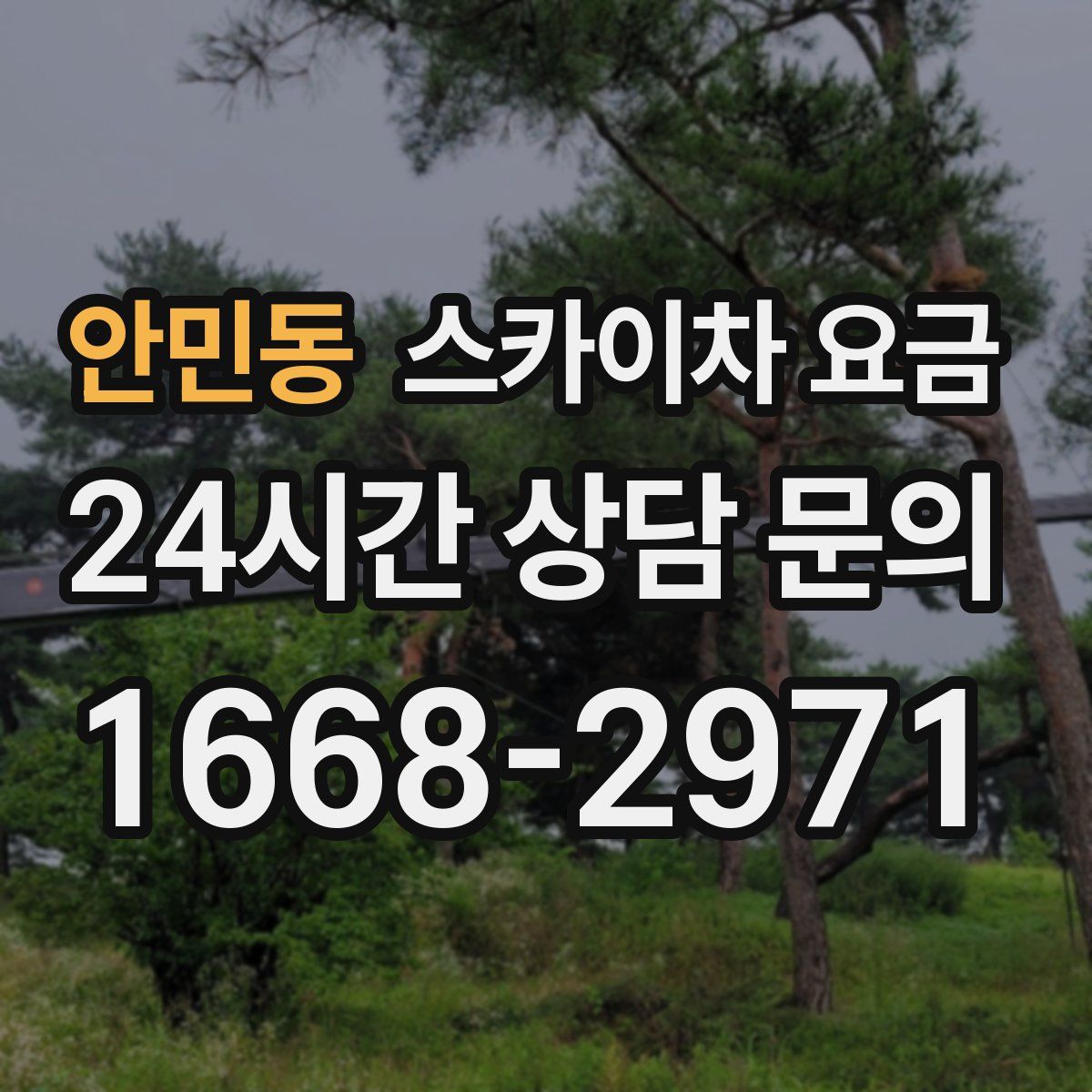 안민동 스카이차 요금