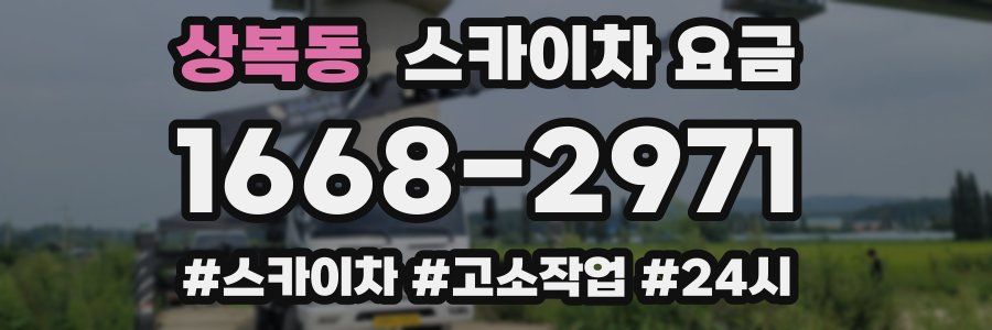 상복동 스카이차 요금