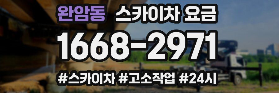 완암동 스카이차 요금