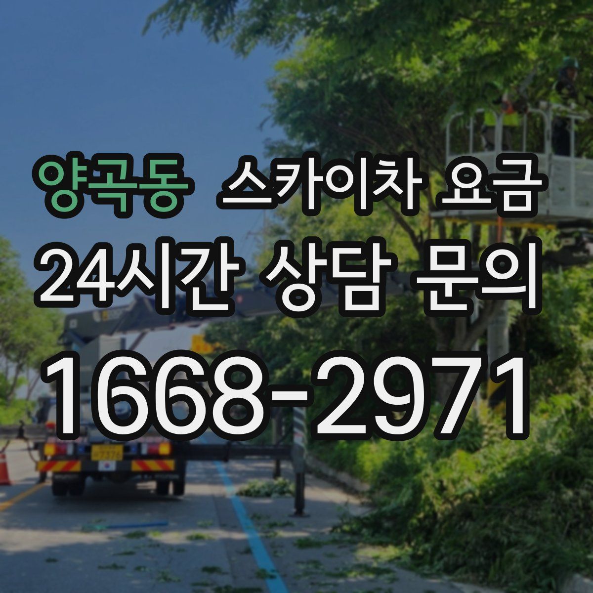 양곡동 스카이차 요금