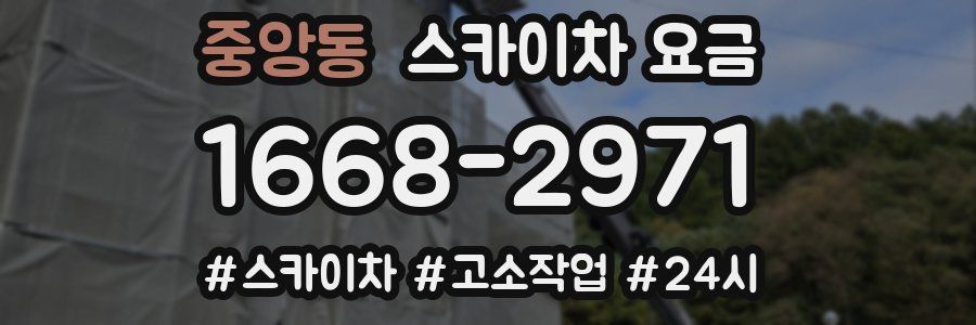 중앙동 스카이차 요금