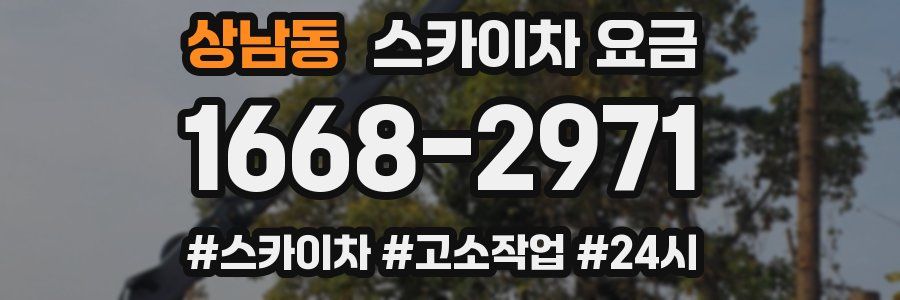 상남동 스카이차 요금