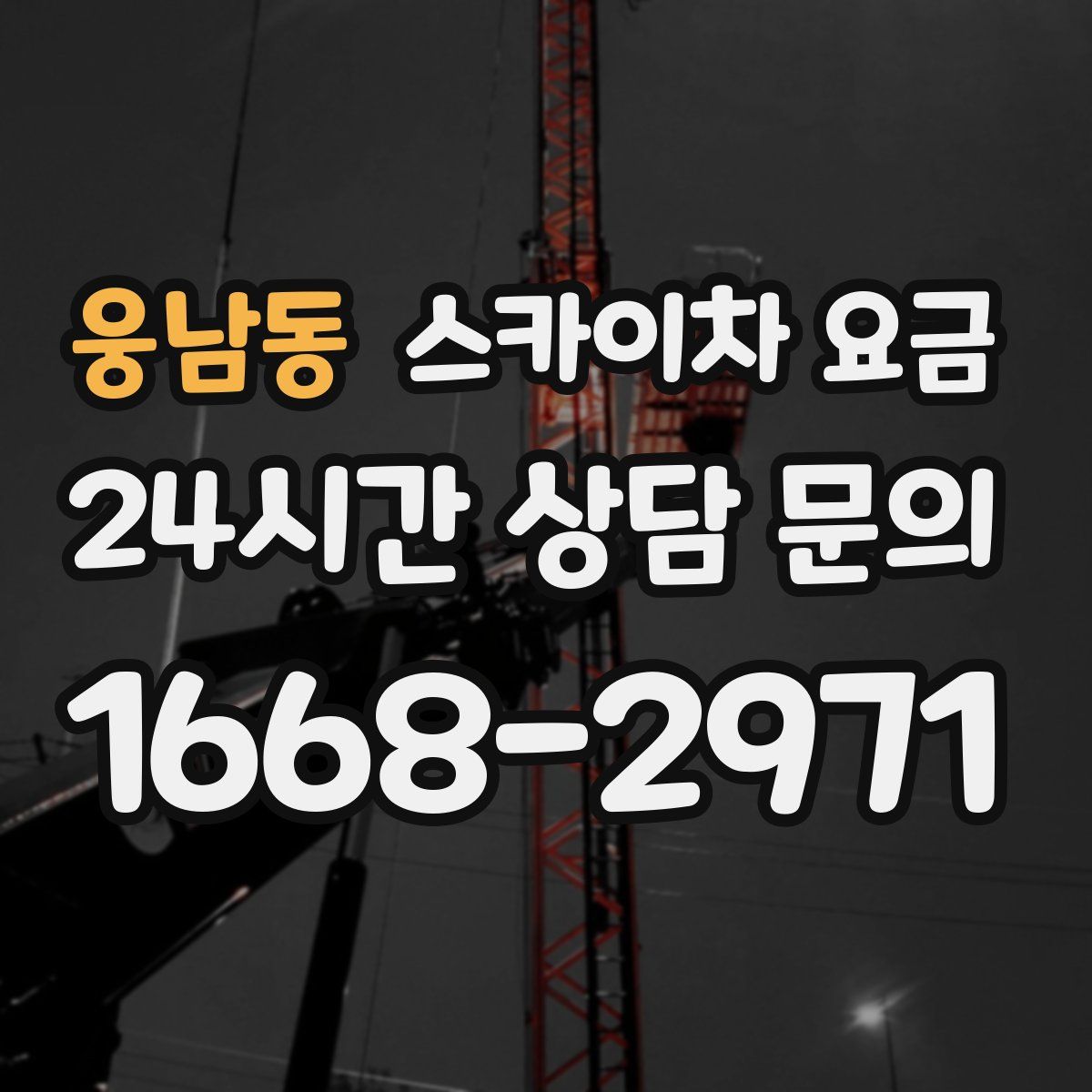 웅남동 스카이차 요금