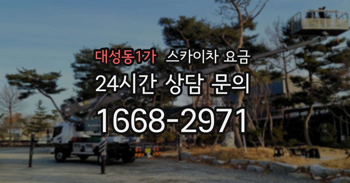 대성동1가 스카이차 요금