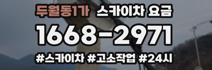 두월동1가 스카이차 요금