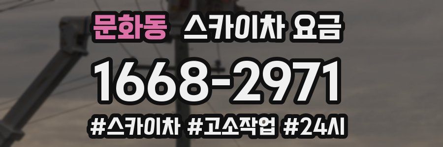 문화동 스카이차 요금
