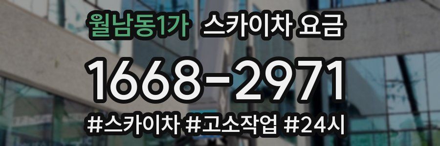 월남동1가 스카이차 요금