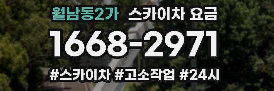 월남동2가 스카이차 요금