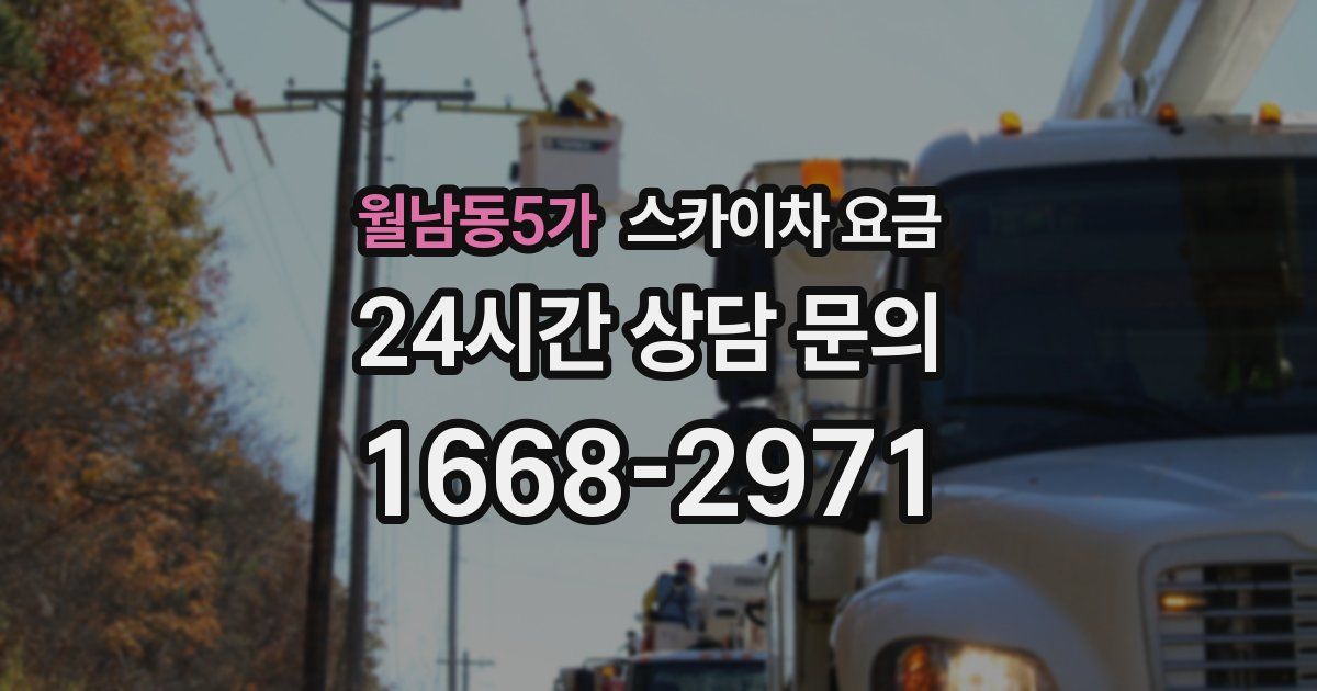 월남동5가 스카이차 요금