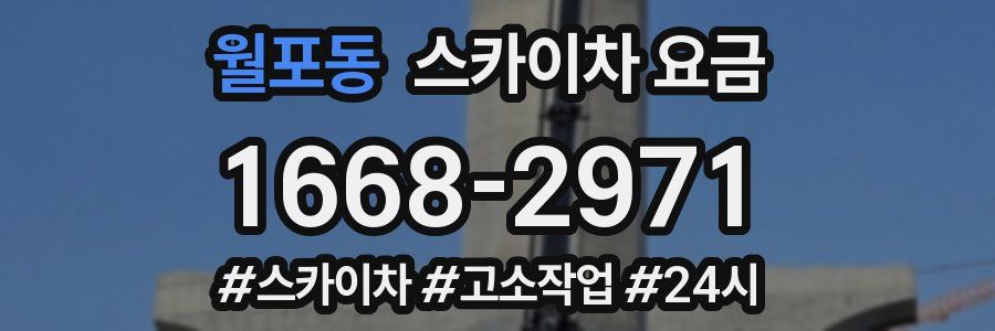 월포동 스카이차 요금