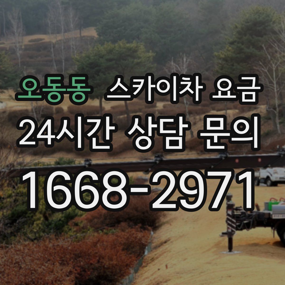 오동동 스카이차 요금