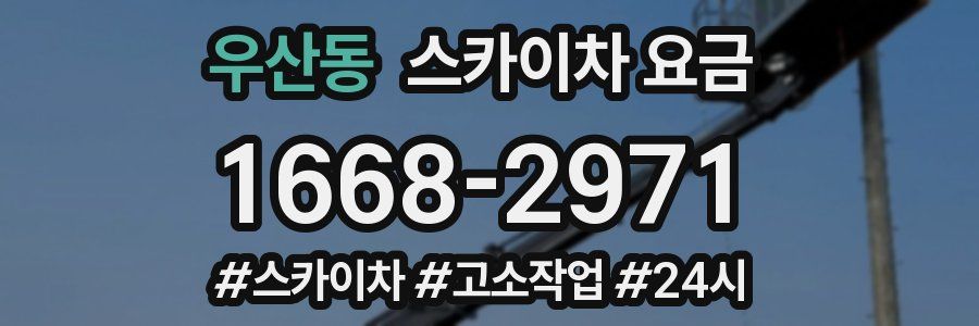 우산동 스카이차 요금