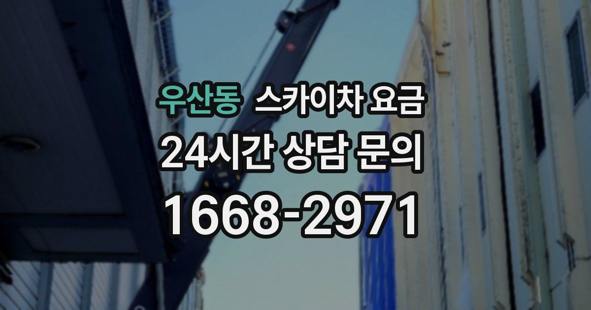 우산동 스카이차 요금