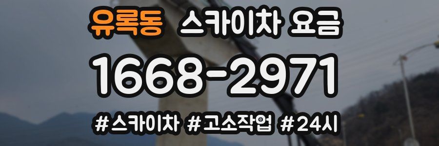 유록동 스카이차 요금