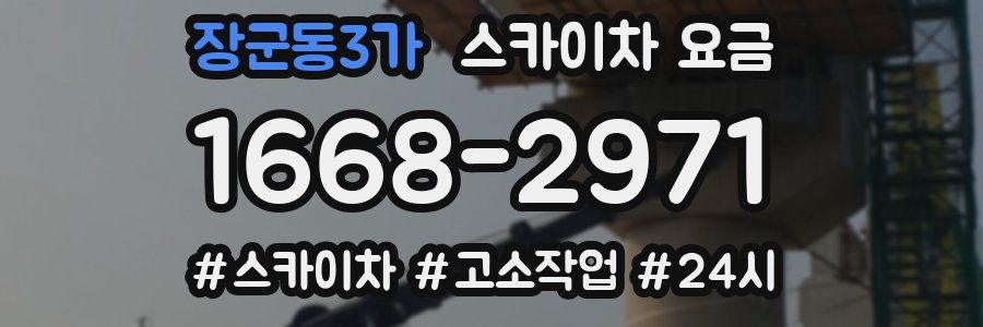 장군동3가 스카이차 요금