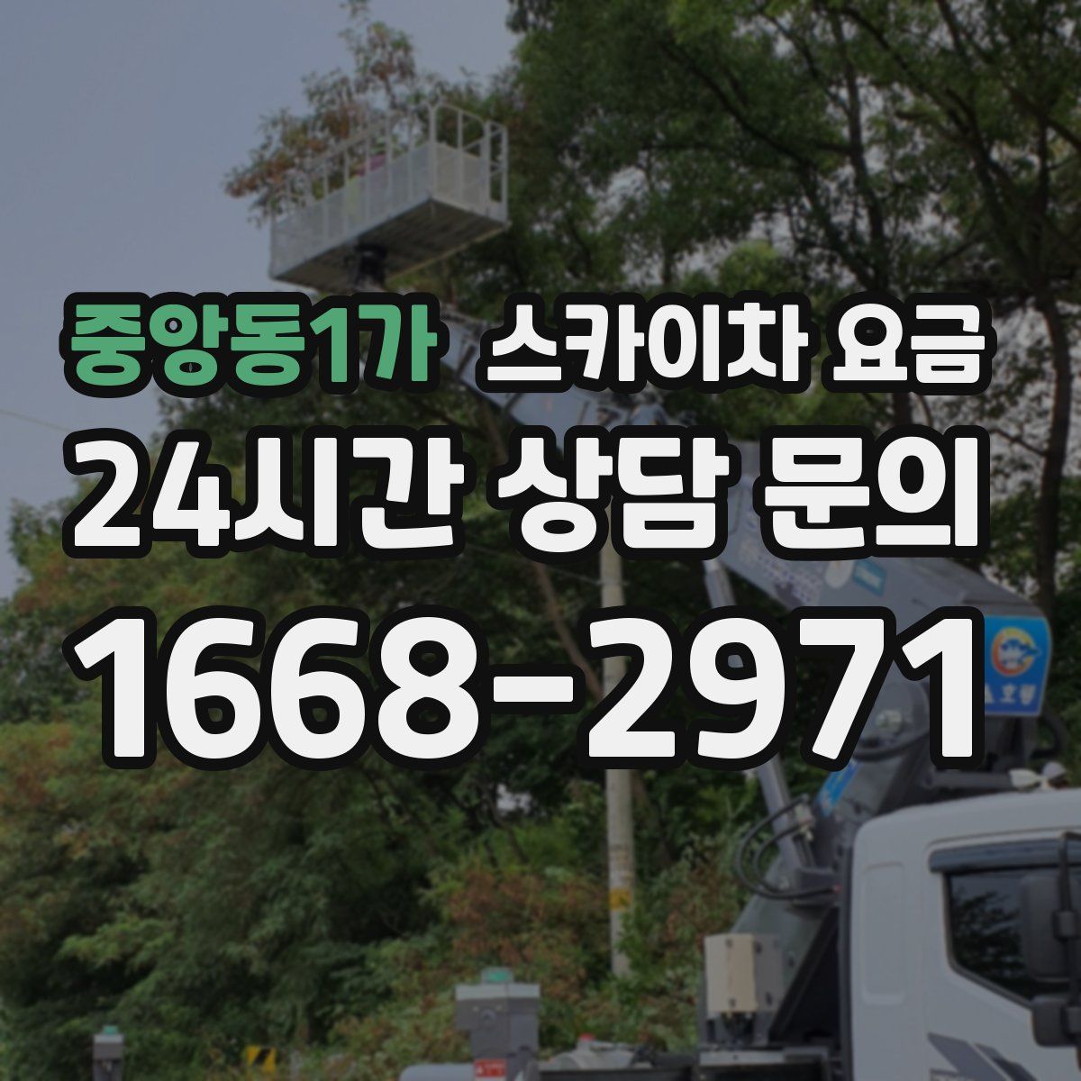 중앙동1가 스카이차 요금